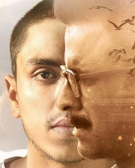 Rukh (2017) Rukh (2017)