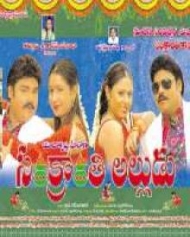 సంక్రాంతి అల్లుడు సంక్రాంతి అల్లుడు