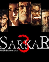 सरकार 3 सरकार 3