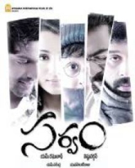 సర్వం సర్వం