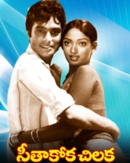 సీతకోక చిలక 1981 సీతకోక చిలక 1981