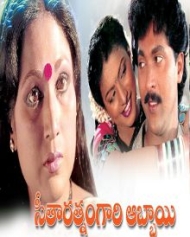 సీతరత్నం గారి అబ్బాయి సీతరత్నం గారి అబ్బాయి