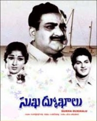 సుఖ దుఃఖాలు సుఖ దుఃఖాలు