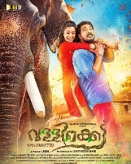 വള്ളിക്കെട്ട് വള്ളിക്കെട്ട്