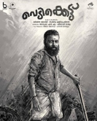 വെടിക്കെട്ട് വെടിക്കെട്ട്