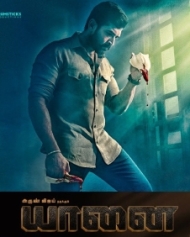 Yaanai Yaanai
