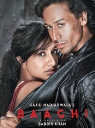 Baaghi Baaghi