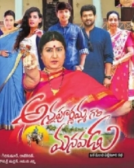 అన్నపూర్ణమ్మ గారి మనవడు