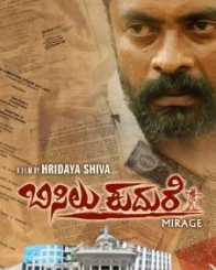 ಬಿಸಿಲು ಕುದುರೆ