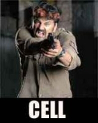 సెల్