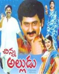 చిన్న అల్లుడు