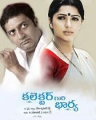 కలెక్టర్ గారి భార్య