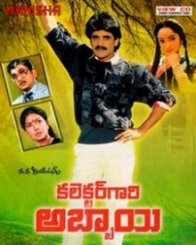 కలెక్టర్ గారి అబ్బాయి