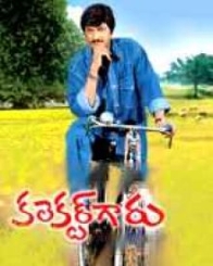 కలెక్టర్ గారు