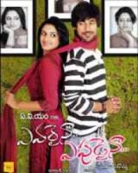 ఎవరైనా ఎప్పుడైనా