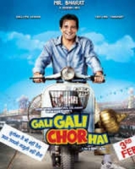 गली गली में चोर है