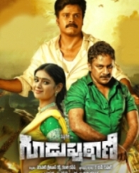 గూడుపుఠాణి