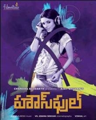 హౌస్ పుల్