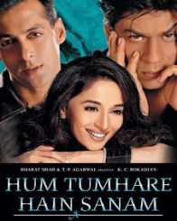 हम तुम्हारे हैं सनम