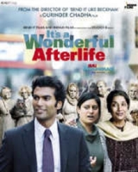 इट्स अ वंडरफुल आफ्टरलाइफ