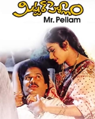 మిష్టర్ పెళ్ళాం