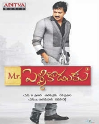 మిస్టర్ పెళ్ళికొడుకు