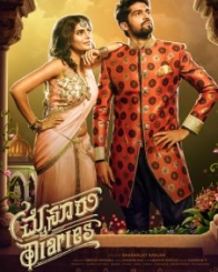 ಮೈಸೂರು ಡೈರೀಸ್