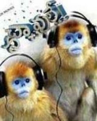 నచ్చావులే