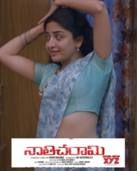 నాతిచరామి