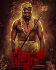 ನೆಲ್ಸನ್