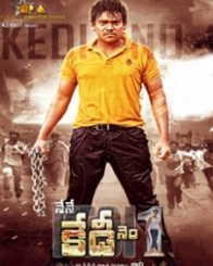 కేడీ నెం 1