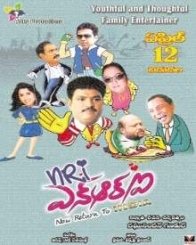 ఎన్ ఆర్ ఐ