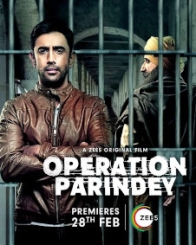 ऑपरेशन परिंदे