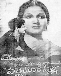 పల్లేటూరి పిల్లి