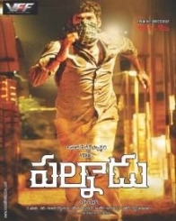 పల్నాడు