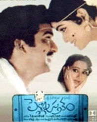 పెళ్ళి పుస్తకం 1991