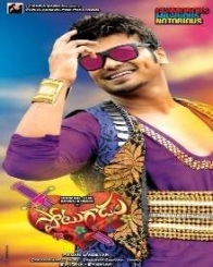 పోటుగాడు