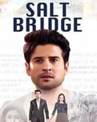 साल्ट ब्रिज