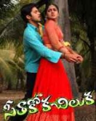 సీతాకోకచిలుక