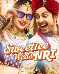 स्वीटी वेड्स एनआरआई