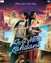 तेरी मेरी कहानी