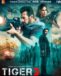 टाइगर 3