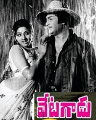 వేటగాడు