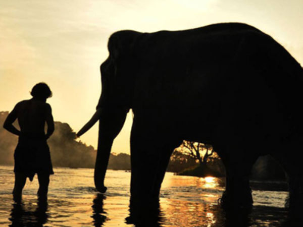 Kumki