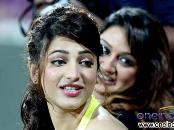 Chennai Rhinos