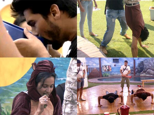 Bigg Boss 7 Luxury Budget Task | Bigg Boss 7 November 26th Episode