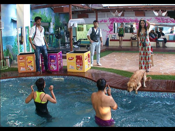 Kushal Pillar For Gauhar