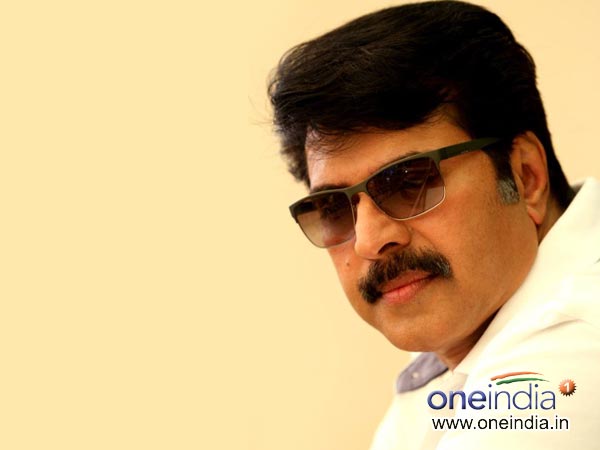 Asianet Film Awards 2014 - Mammootty Is The Best Actor