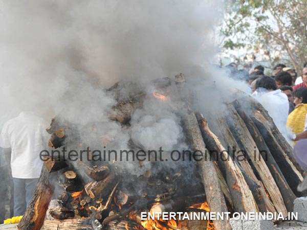 ANR's Mortal Remains Put to Ashes
