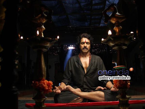 No Competition For Brahma